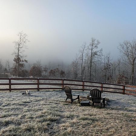 Great Little Guest Suite With Private Entry & Deck! Pet Friendly & 30 Mins To Nashville! Ashland City Luaran gambar