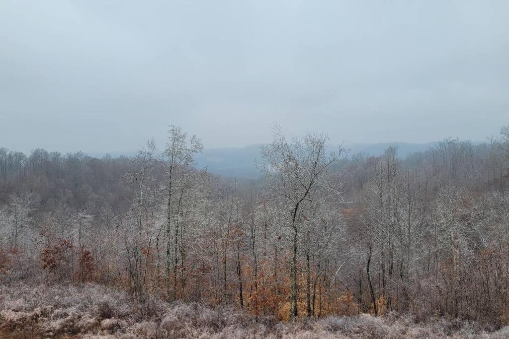 Great Little Guest Suite With Private Entry & Deck! Pet Friendly & 30 Mins To Nashville! Ashland City Luaran gambar