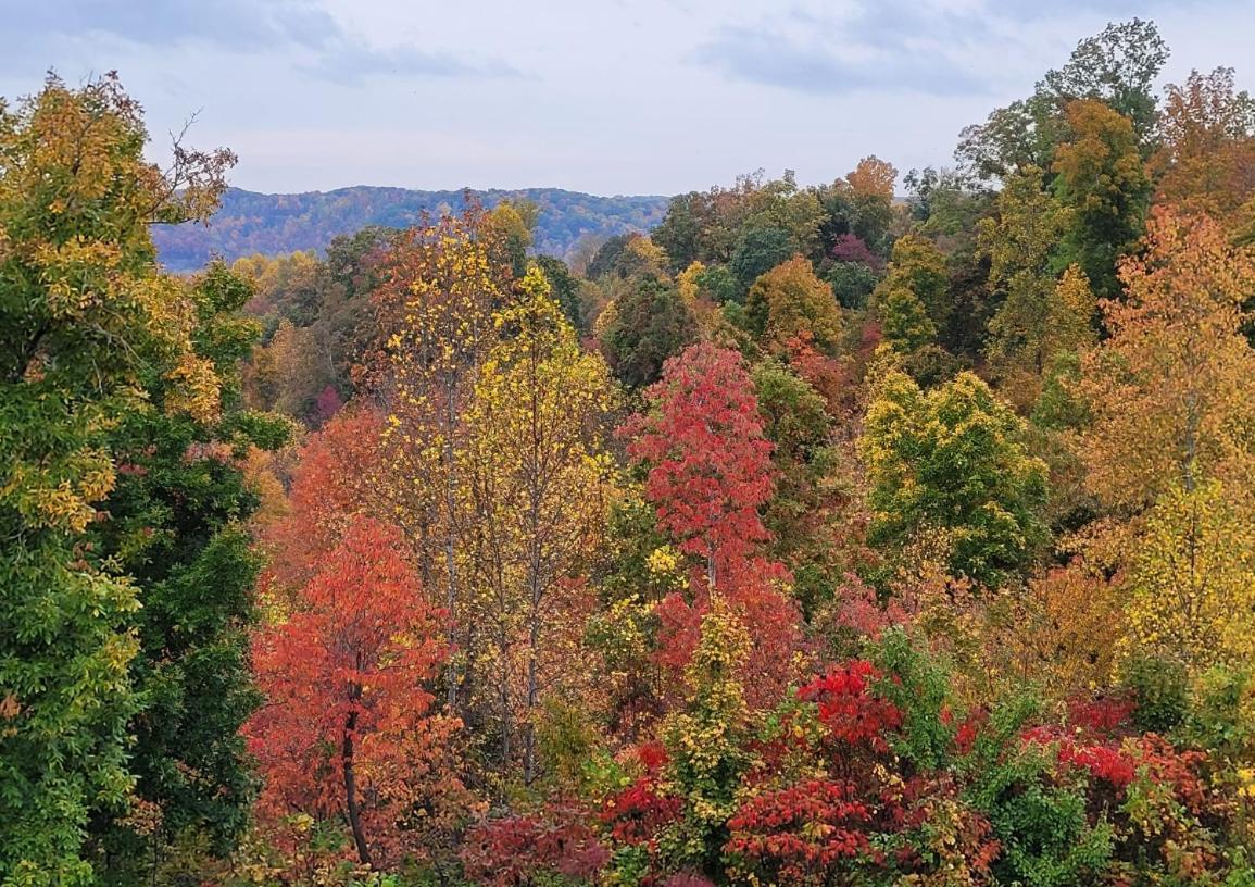 Great Little Guest Suite With Private Entry & Deck! Pet Friendly & 30 Mins To Nashville! Ashland City Luaran gambar