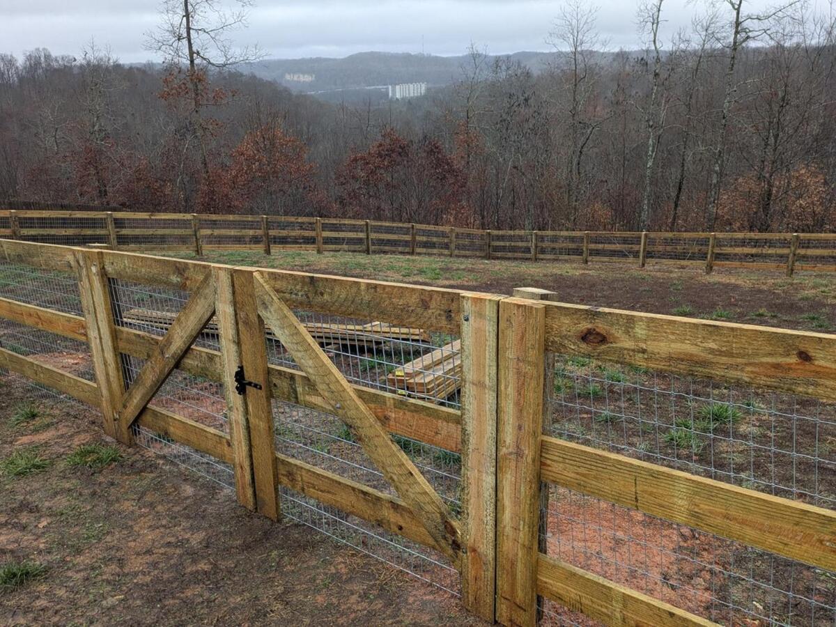 Great Little Guest Suite With Private Entry & Deck! Pet Friendly & 30 Mins To Nashville! Ashland City Luaran gambar
